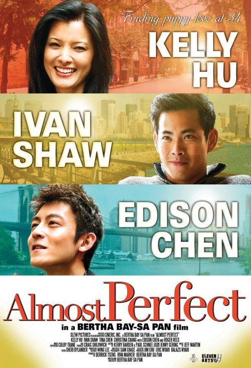 Almost Perfect (2011) poster