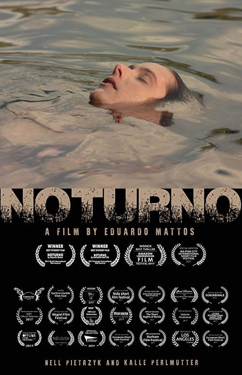 Noturno poster