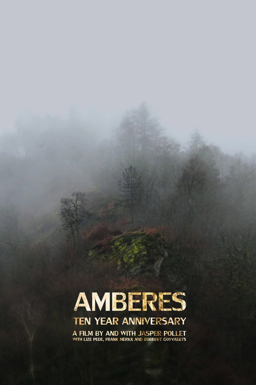 Amberes (2012) poster