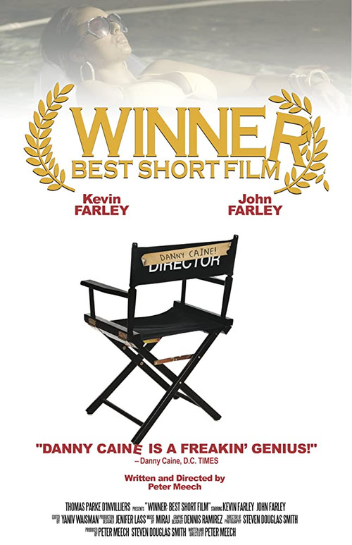 Winner: Best Short Film (2010) poster