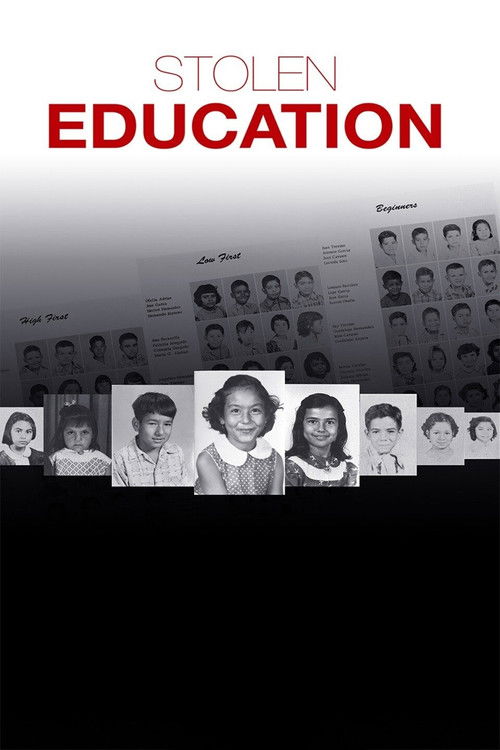 Stolen Education (2013) poster