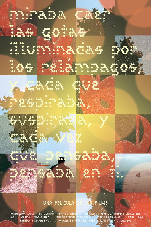 Miraba caer las gotas iluminadas por los relámpagos, y cada que respiraba suspiraba, y cada vez que pensaba, pensaba en ti (2025) poster