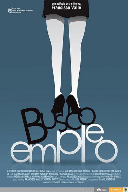 Busco Empleo (2010) poster