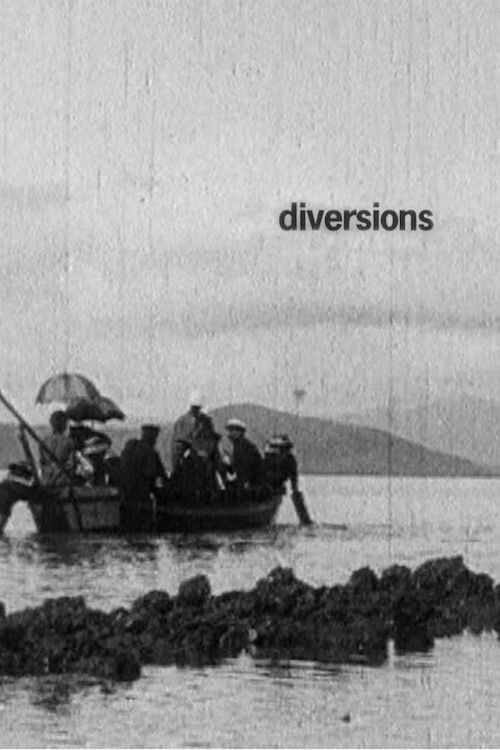 Diversions (2009) poster