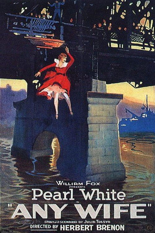 Any Wife (1922) poster