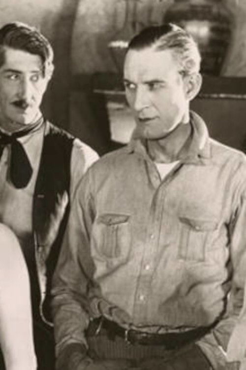 The Hellion (1924) poster