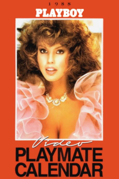 Playboy Video Playmate Calendar 1988 (1987) poster