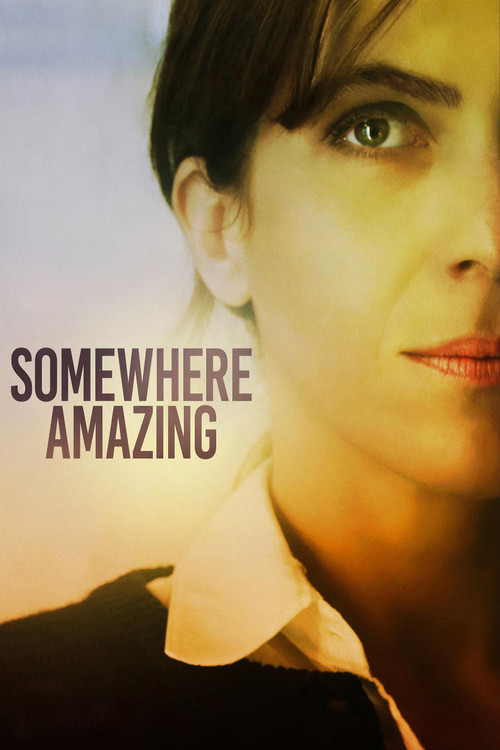 Somewhere Amazing (2015) poster