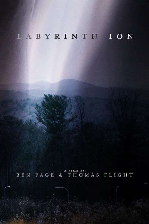 Labyrinth Ion (2022) poster