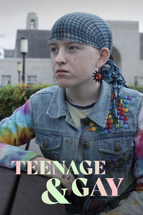 Teenage and Gay (2015) poster