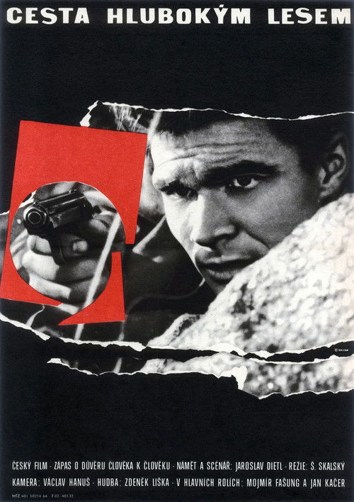 Passing Through a Thick Forest (1964) poster