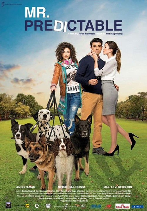 Mr. Predictable (2016) poster
