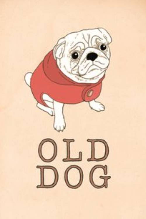 Old Dog (2020) poster