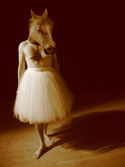 Figs in Motion (2010) poster