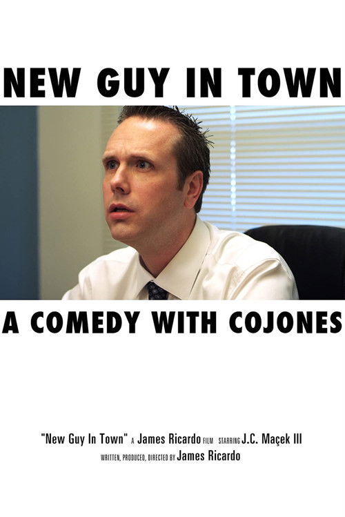 New Guy in Town (2012) poster