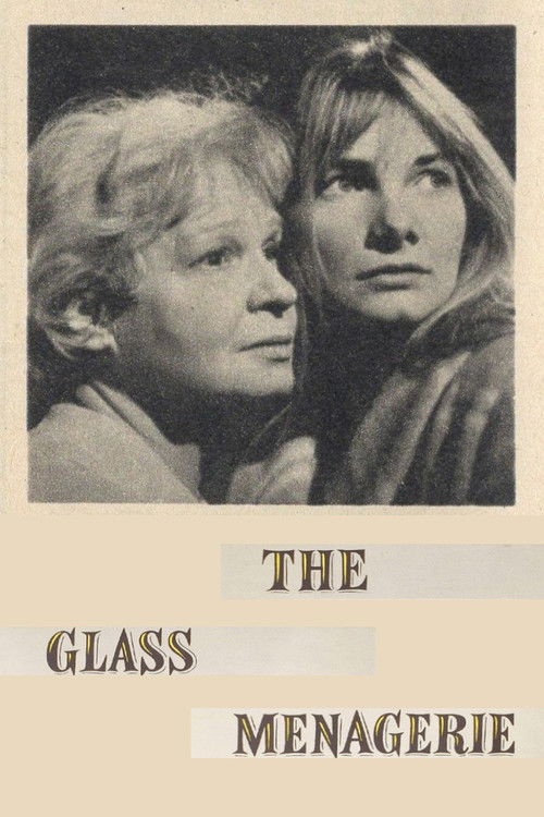 The Glass Menagerie (1966) poster