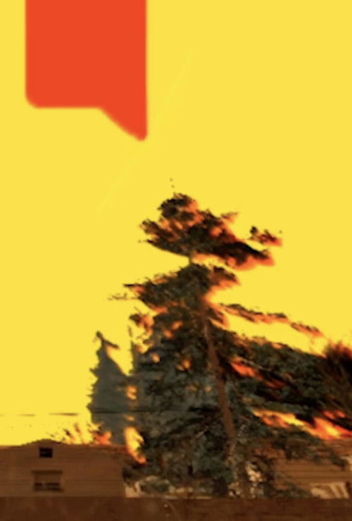 Recall/ (2025) poster