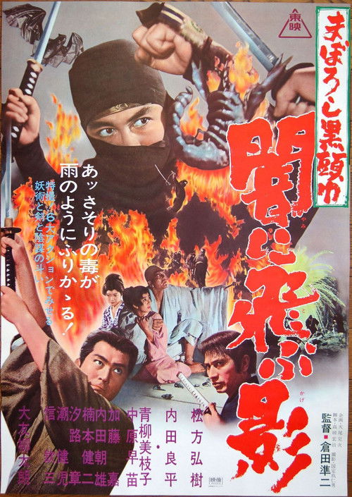 Black Ninja (1967) poster