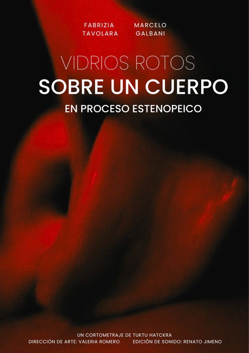 Broken Glass on a Pinhole Body poster