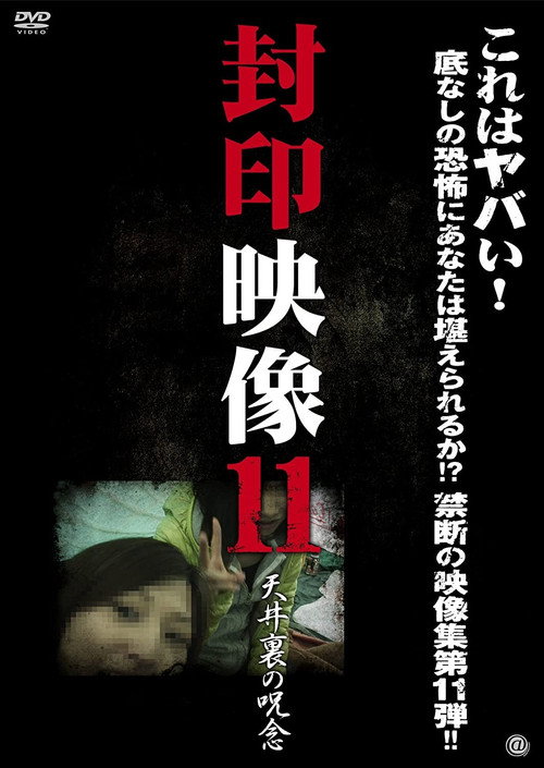 Sealed Video 11: Attic Curse (2013) poster
