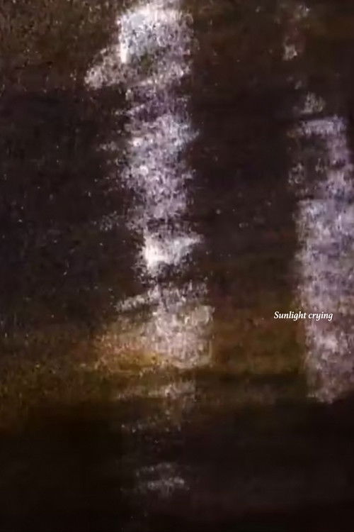 Sunlight Crying (2022) poster