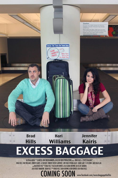 Excess Baggage (2015) poster