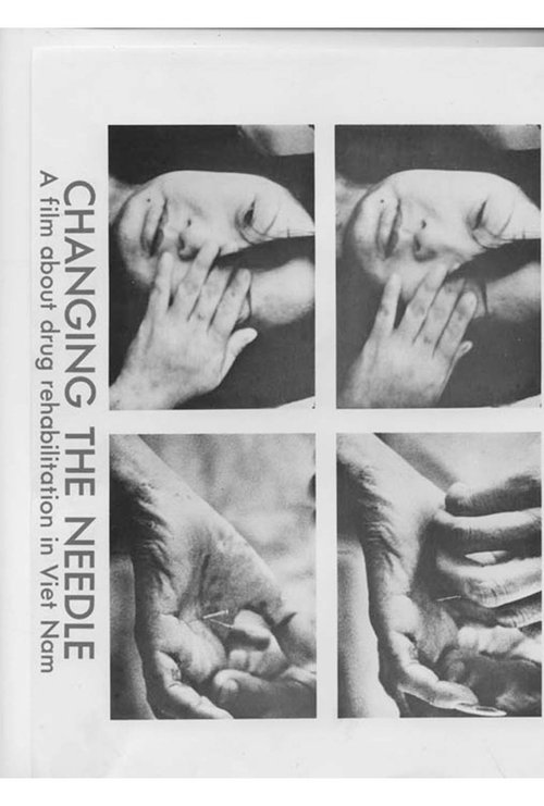 Changing the Needle (1982) poster