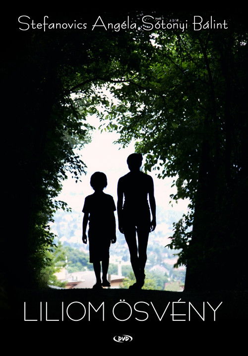 Liliom ösvény (2016) poster