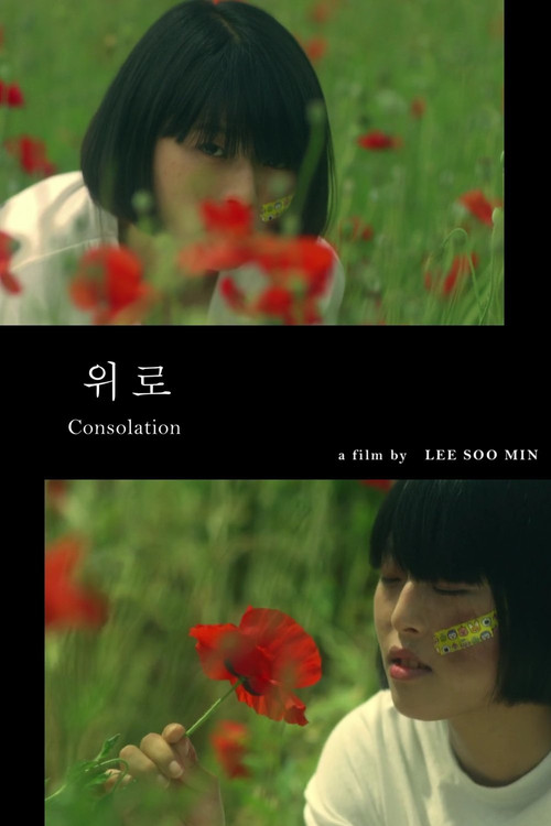 Consolation (2015) poster