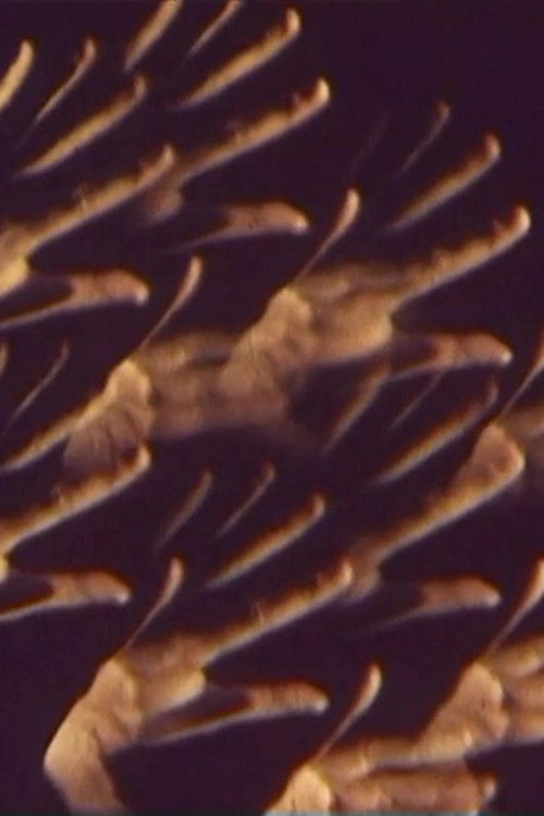 Ballett-Film (1968) poster