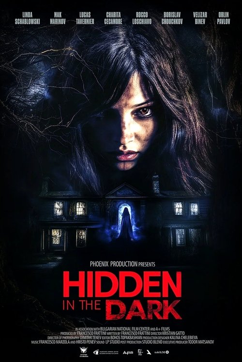 Hidden in the Dark (2025) poster
