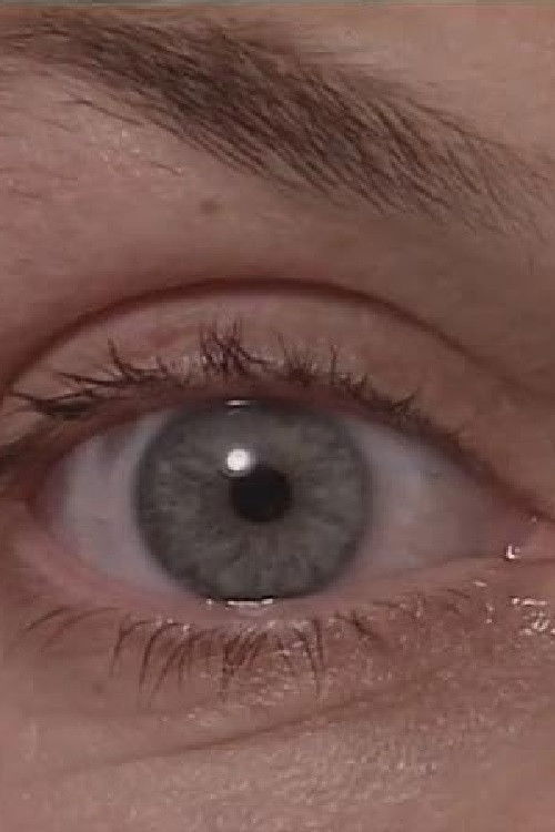 The Eyewitness (1996) poster