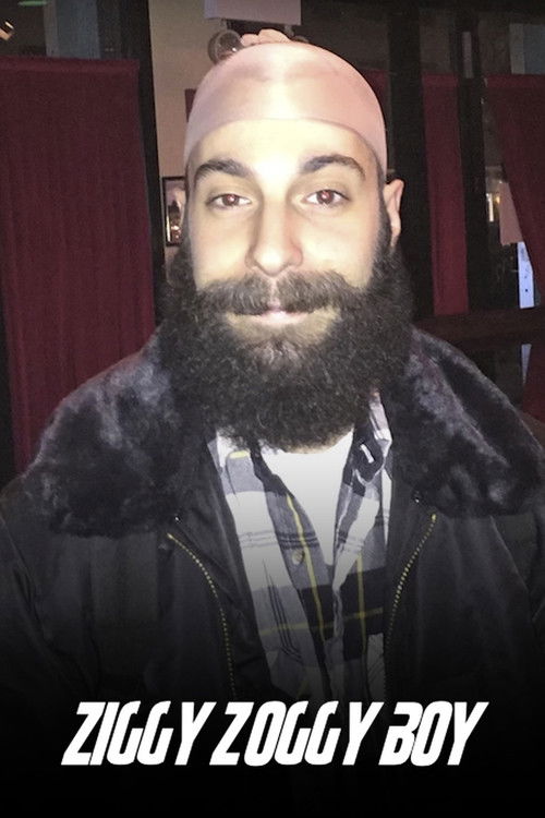 Ziggy Zoggy Boy (2017) poster