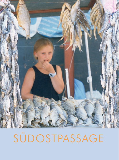 Southeast Passage (2002) poster