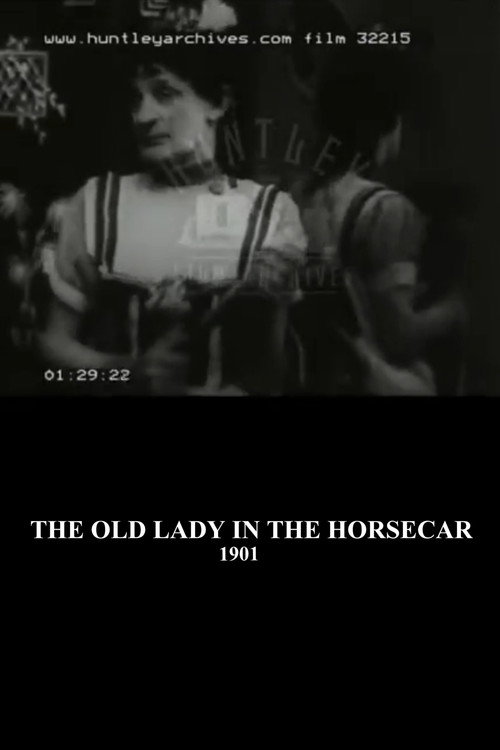 The Old Maid in the Horsecar (1901) poster