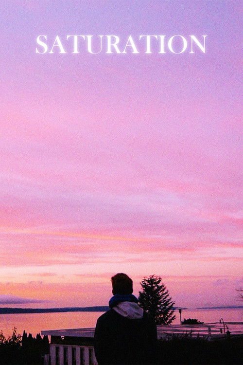 Saturation (2024) poster