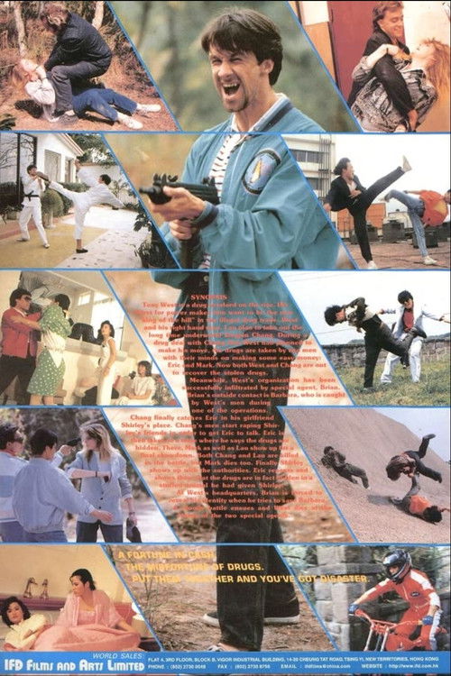 Warriors of America 2: Fatal Glory (1988) poster