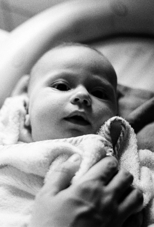 The Dormants (2009) poster