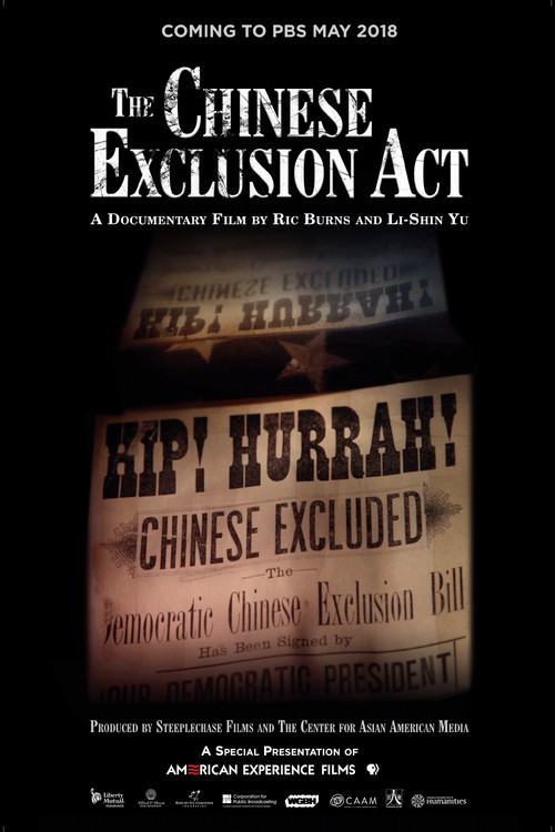 The Chinese Exclusion Act (2017) poster