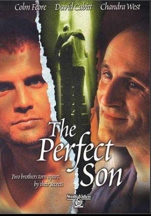 The Perfect Son (2000) poster