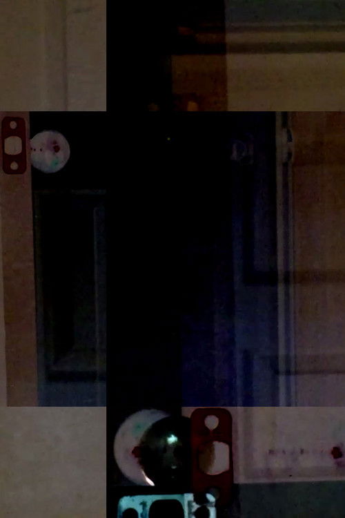 What Was It Supposed to Be Like? (2017) poster