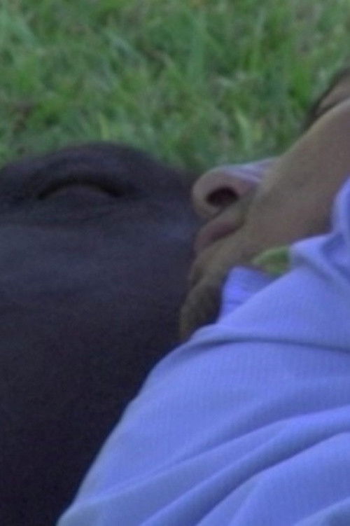 Querida Chick: Jessica Sarah Rinland to Chick Strand (2022) poster