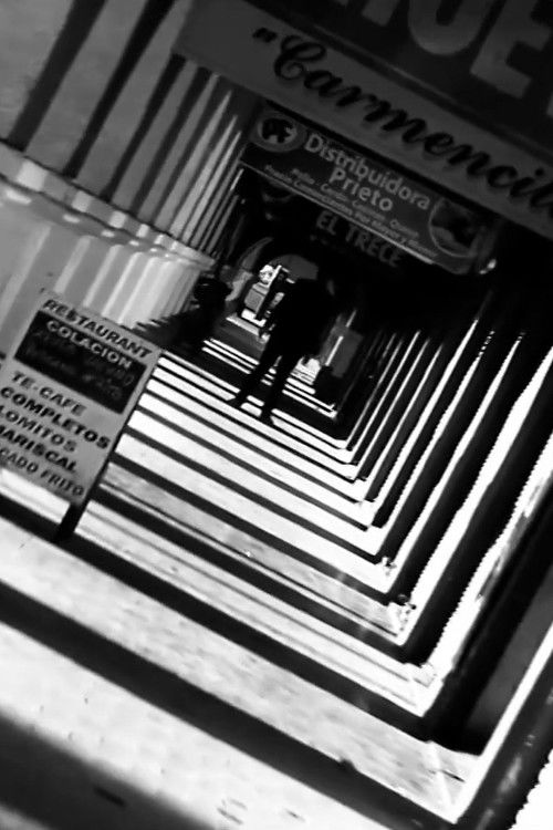 Talca On The Road (2014) poster