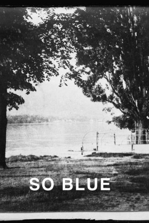 The Danube so Blue (2025) poster