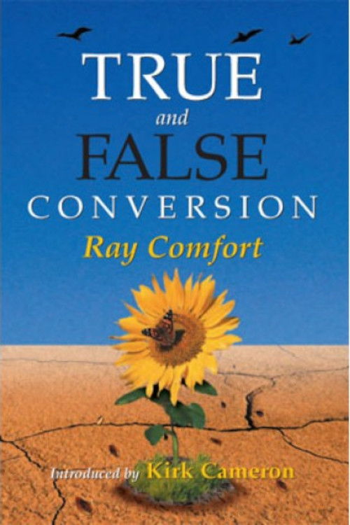 True and False Conversion (2008) poster