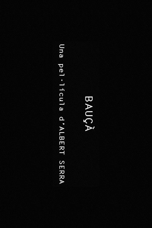 Bauçà (2009) poster