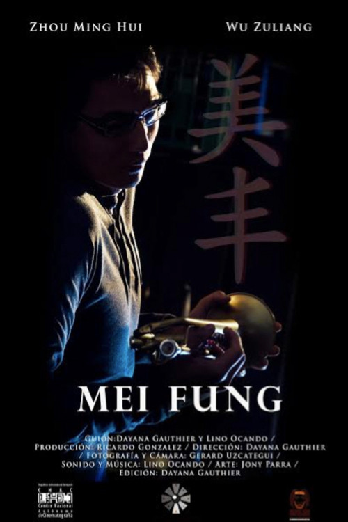 Mei Fung (2013) poster