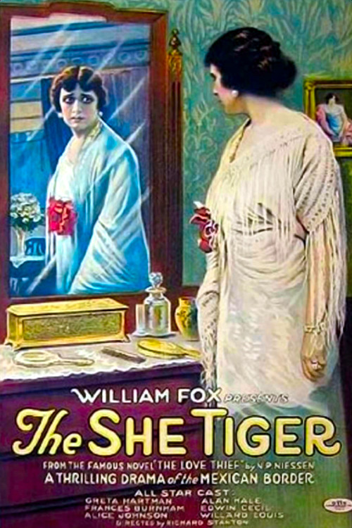 The Love Thief (1916) poster