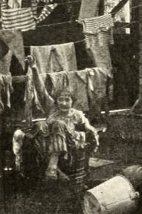 Willie, King of Janitors (1912) poster
