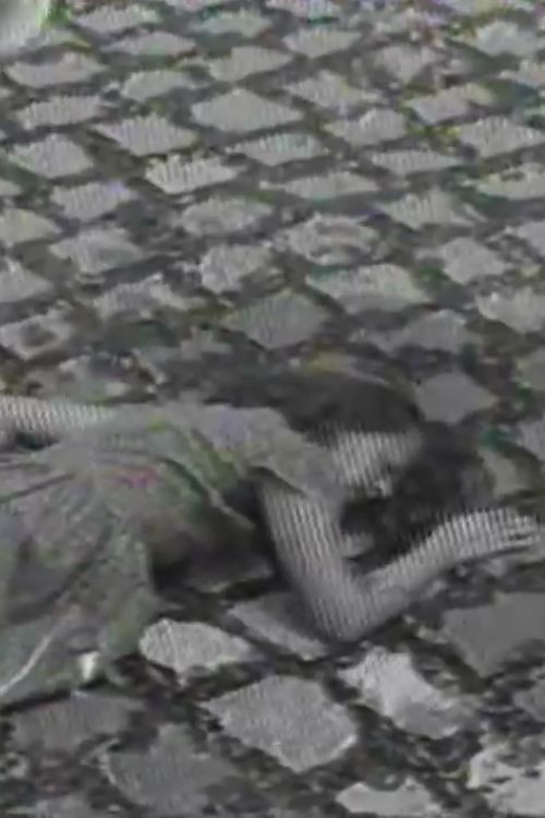 A Mulher (1985) poster